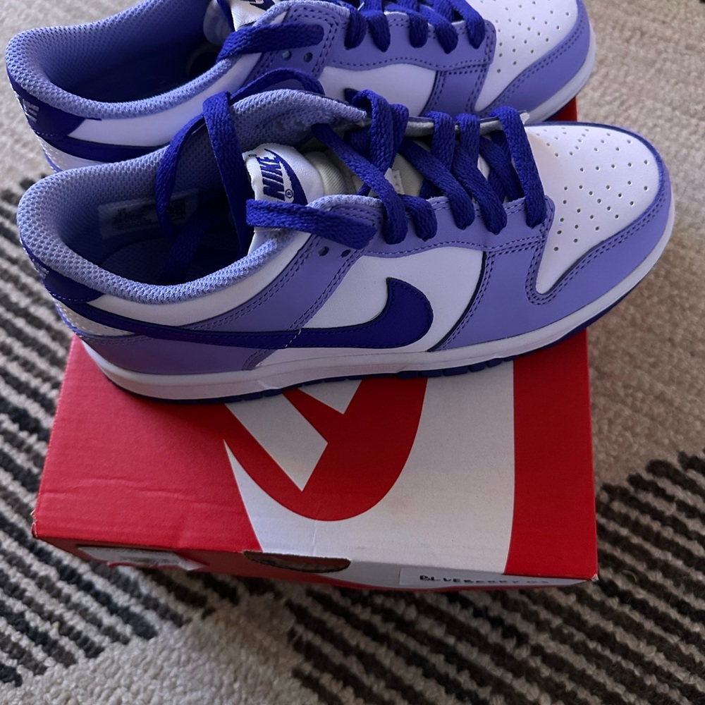 Nike Dunks Blueberry 🫐 - Picture 7 of 7